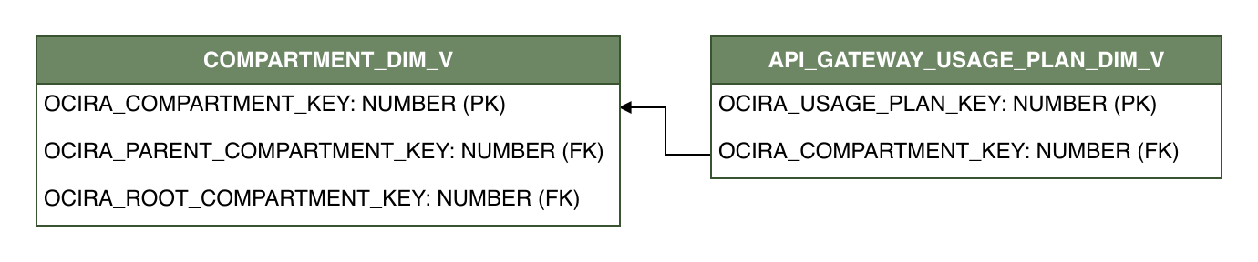 Relationship diagram showing the dimension table, API_GATEWAY_USAGE_PLAN_DIM_V.