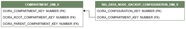 Relationship diagram showing the dimension table, BIG_DATA_NODE_BACKUP_CONFIGURATION_DIM_V.