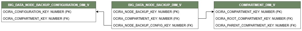 Relationship diagram showing the dimension table, BIG_DATA_NODE_BACKUP_DIM_V.