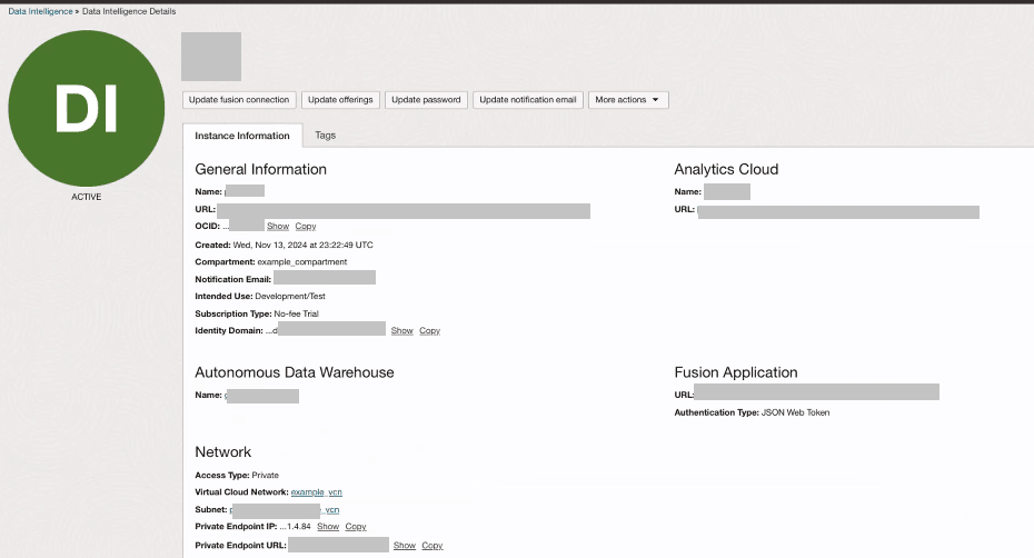 Oracle Fusion Data Intelligence instance with private network Oracle Fusion Data Intelligence instance with private network