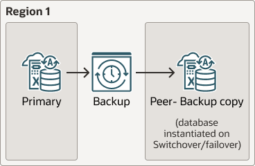 Description of backup-based-dr-local.eps follows Description of backup-based-dr-local.eps follows